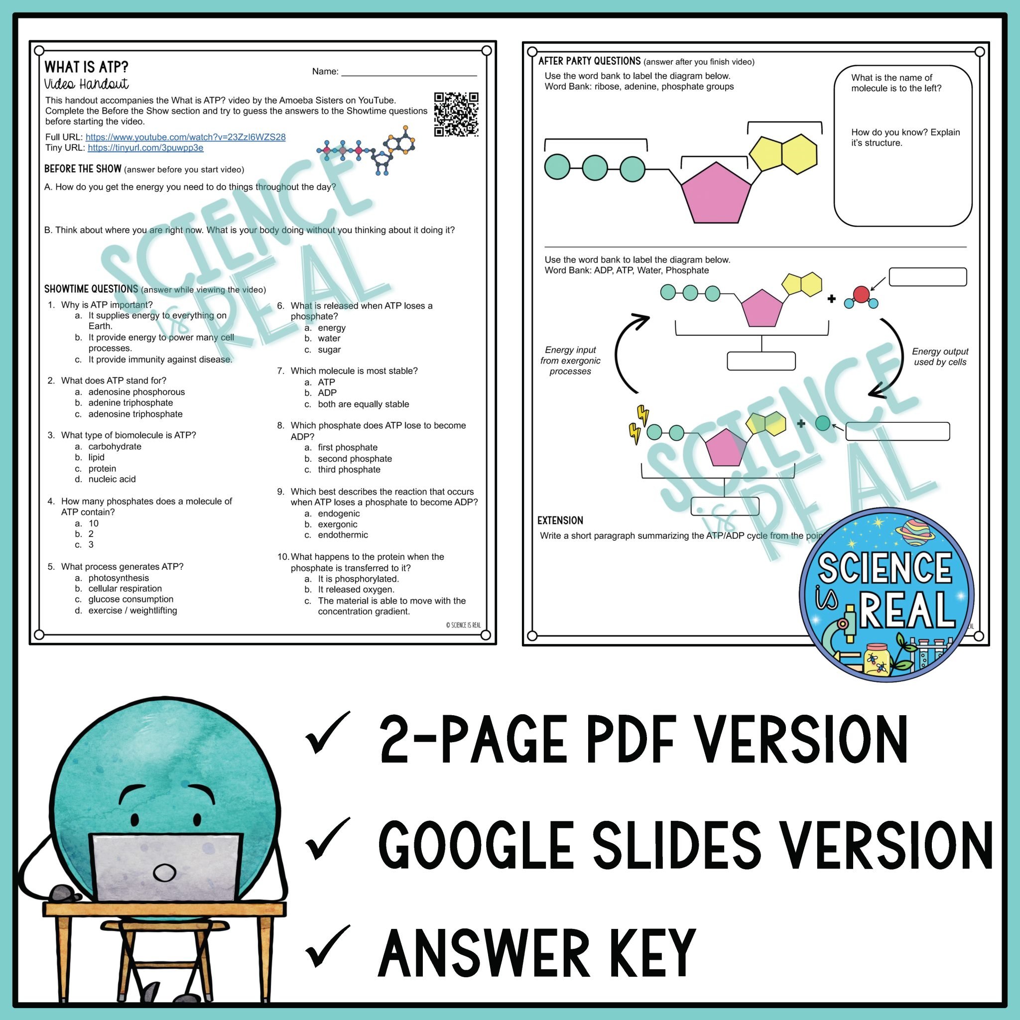 ATP Amoeba Sisters Video Handout - Science is Real Education