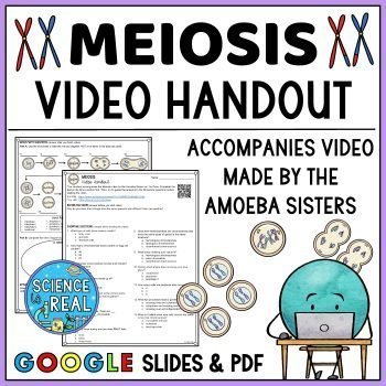 meiosis amoeba sisters video handout