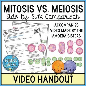 Mitosis vs Meiosis Amoeba Sisters video handout