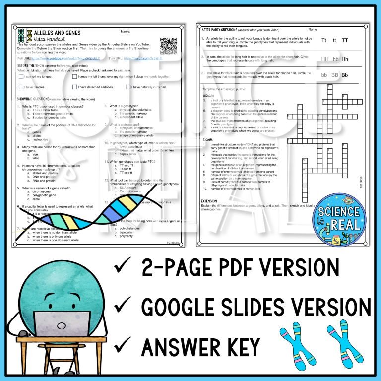 Alleles and Genes Amoeba Sisters Handout - Science is Real Education