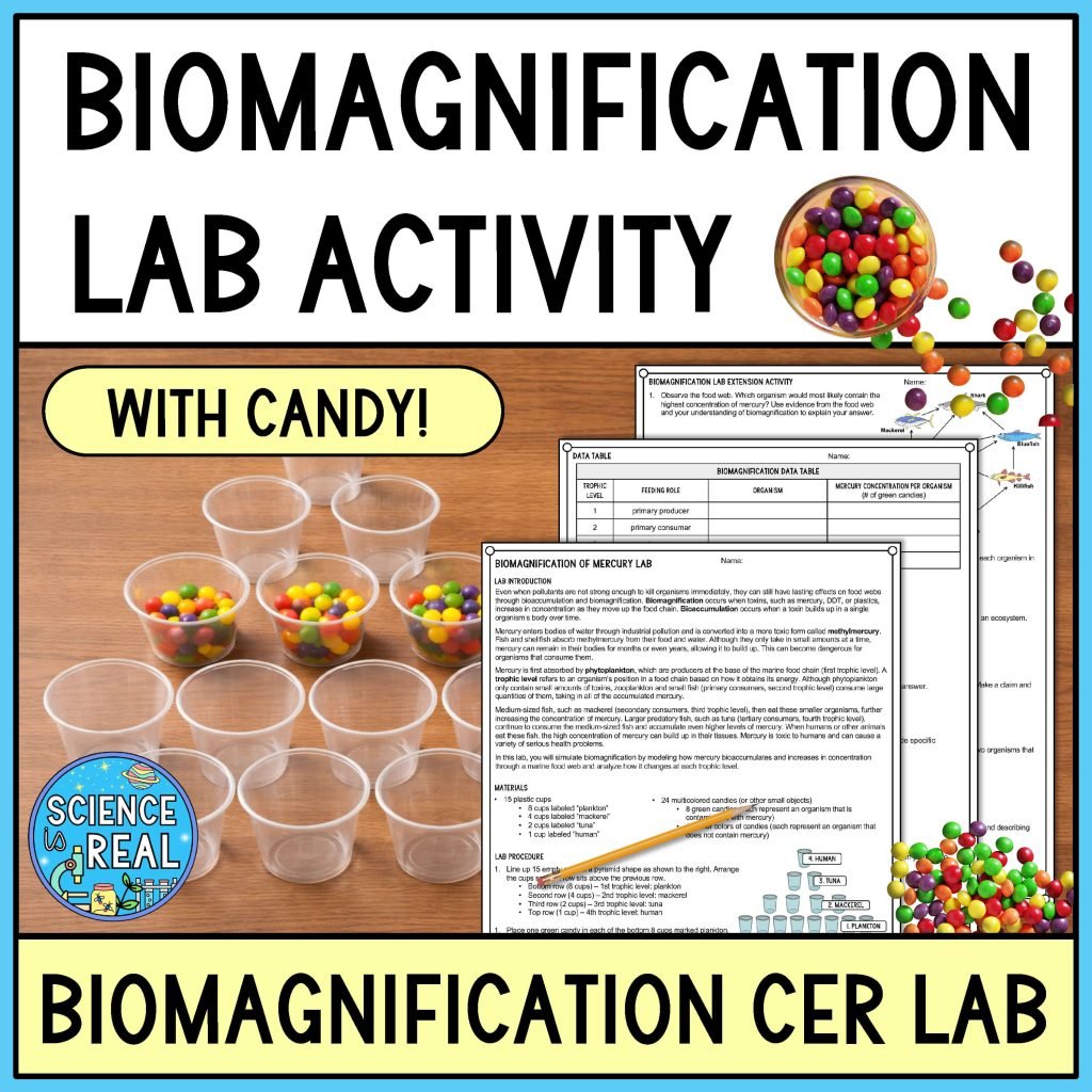 Biomagnification Lab