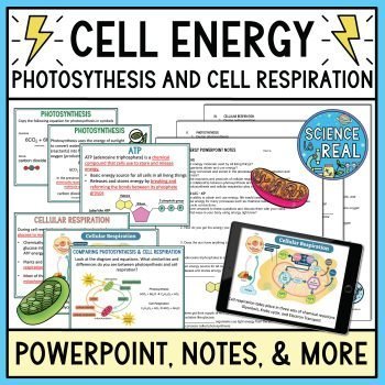 Cell Energy PowerPoint