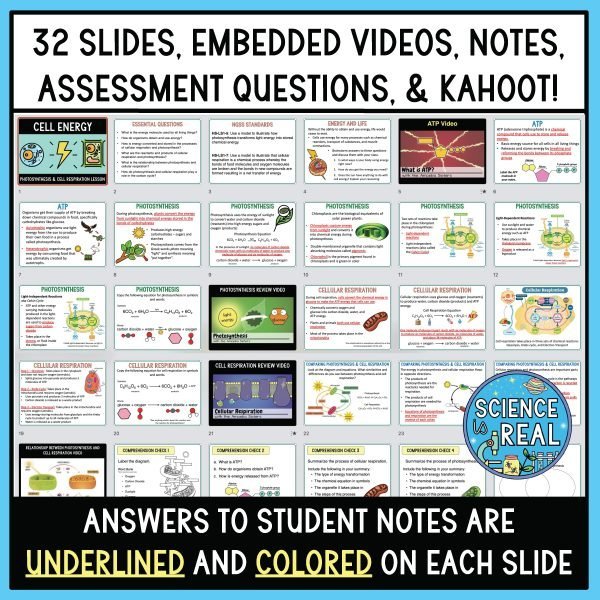 Cell Energy Powerpoint with Notes and Assessment Questions - Science is ...