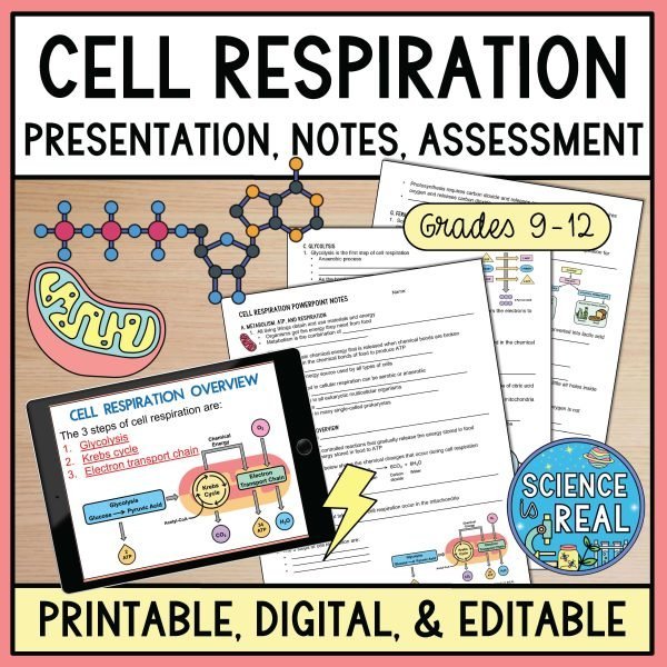Cell Respiration PowerPoint, Notes, Questions, and Kahoot - Science is ...
