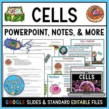 cells powerpoint