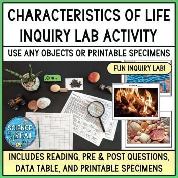 Characteristics of Life Lab