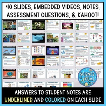 Characteristics of Life PowerPoint with Notes, Questions, and Kahoot ...