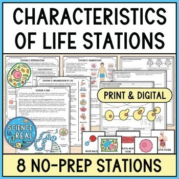 characteristics of life stations
