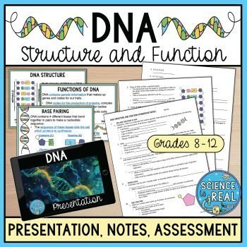 DNA PowerPoint