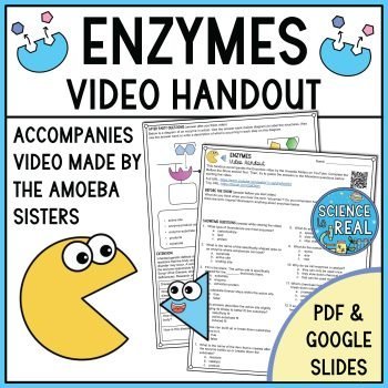 Enzymes Amoeba Sisters Video Handout