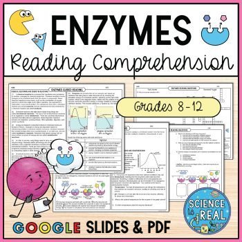 Enzymes Reading Comprehension