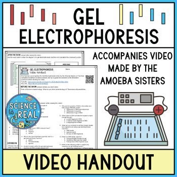 gel electrophoresis amoeba sisters video handout
