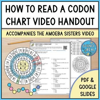 how to read a codon chart amoeba sisters video handout