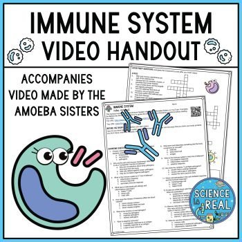 immune system amoeba sisters video handout