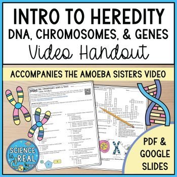 Intro to heredity amoeba sisters
