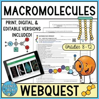 Macromolecules Webquest