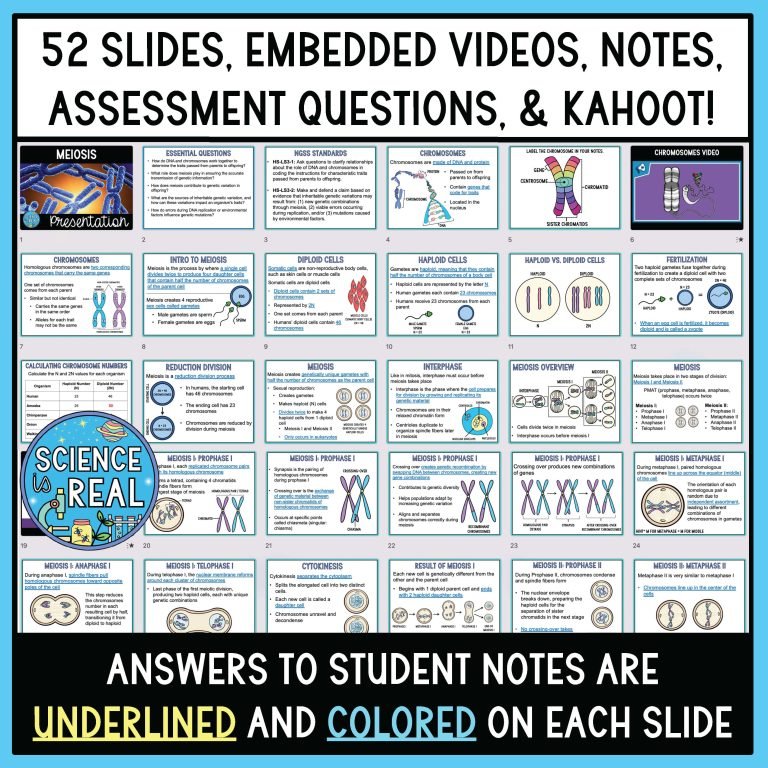 Meiosis PowerPoint with Student Note and Assessment - Science is Real ...