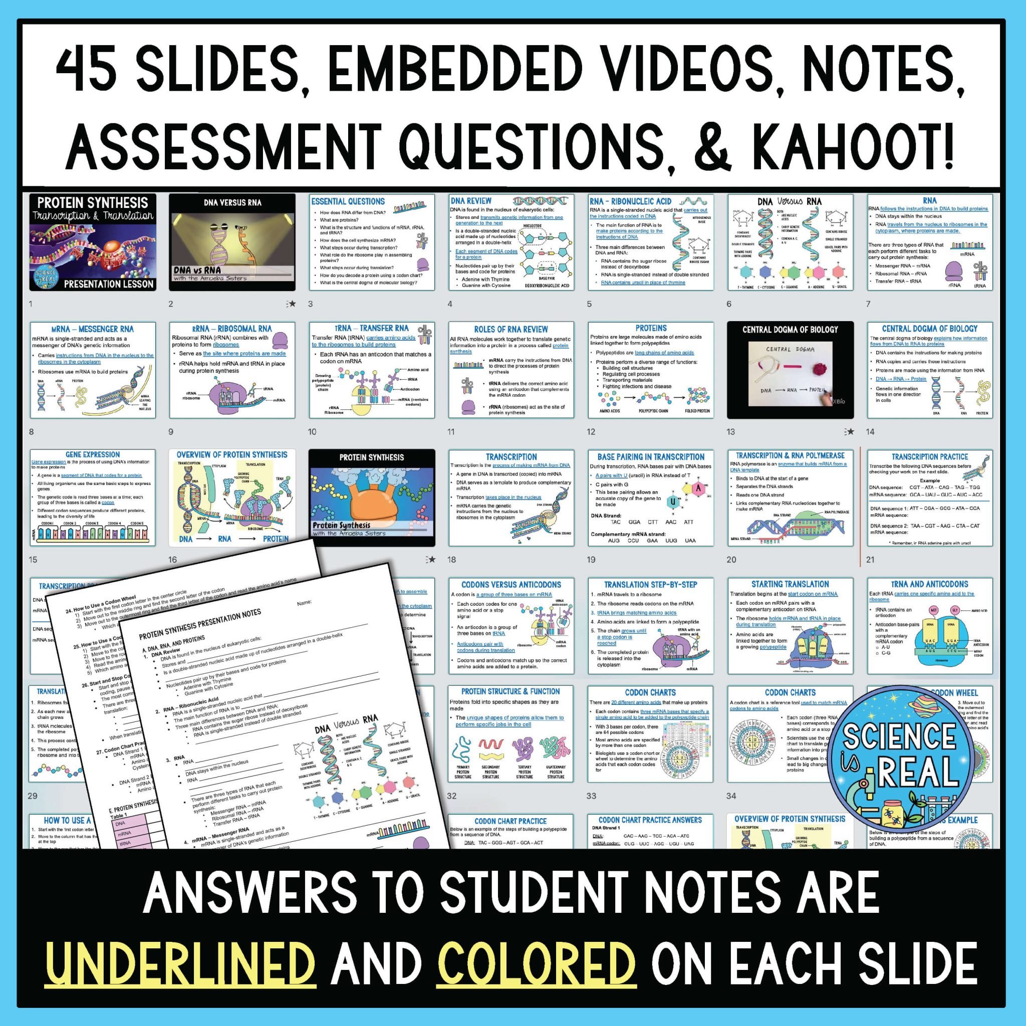 Protein Synthesis PowerPoint Lesson with Notes, Assessment, and Game ...