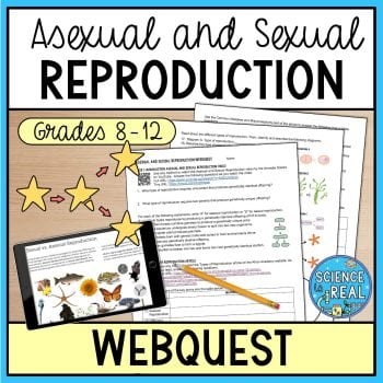 reproduction webquest