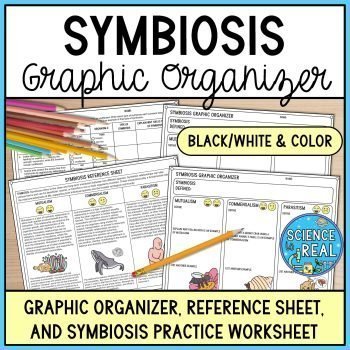 symbiosis graphic organizer