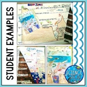 Ocean Zones Poster Project - Layers of the Ocean Project - Science is ...