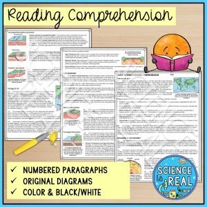 Plate Tectonics Reading Comprehension Worksheets - Science is Real ...