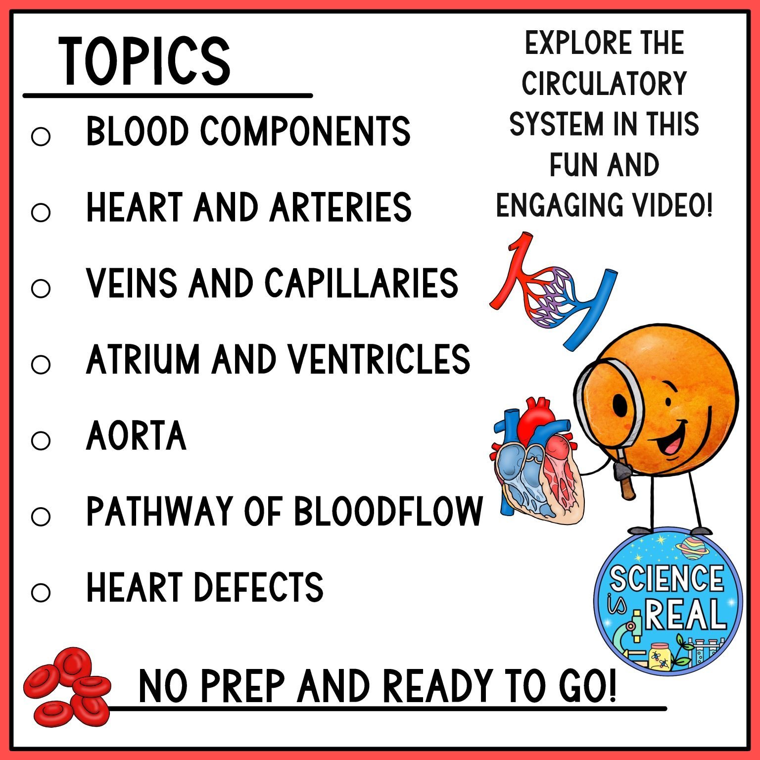 Circulatory System Amoeba Sisters Video Handout - Science is Real Education