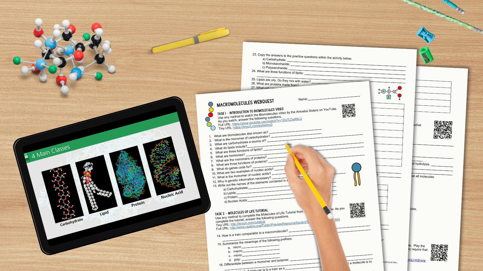 macromolecules webquest