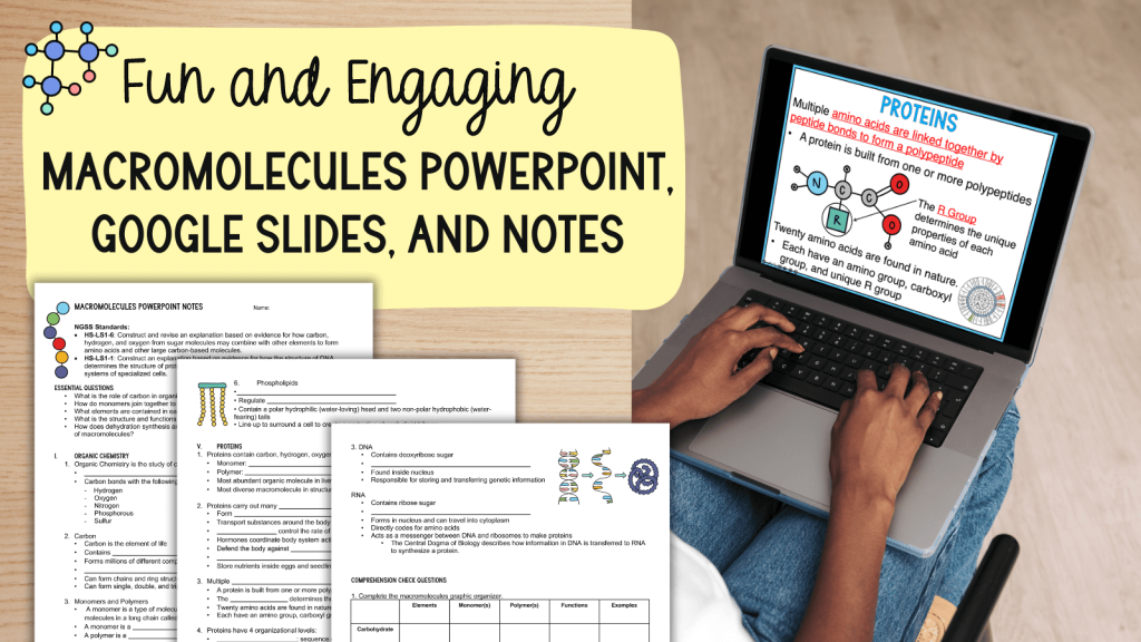 macromolecules powerpoint