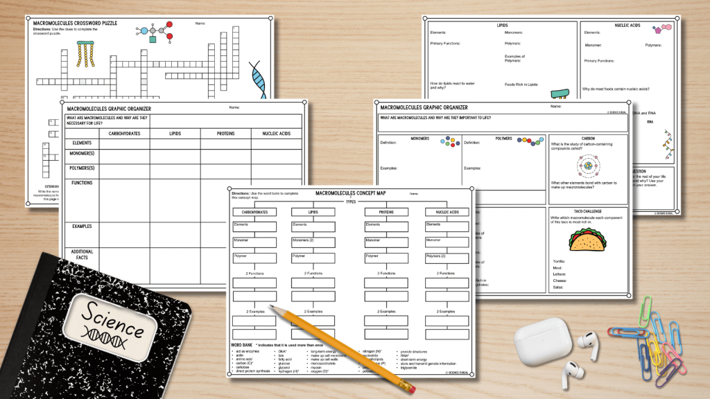 macromolecules graphic organizer