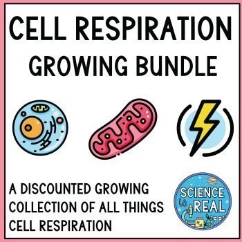 cell respiration lessons