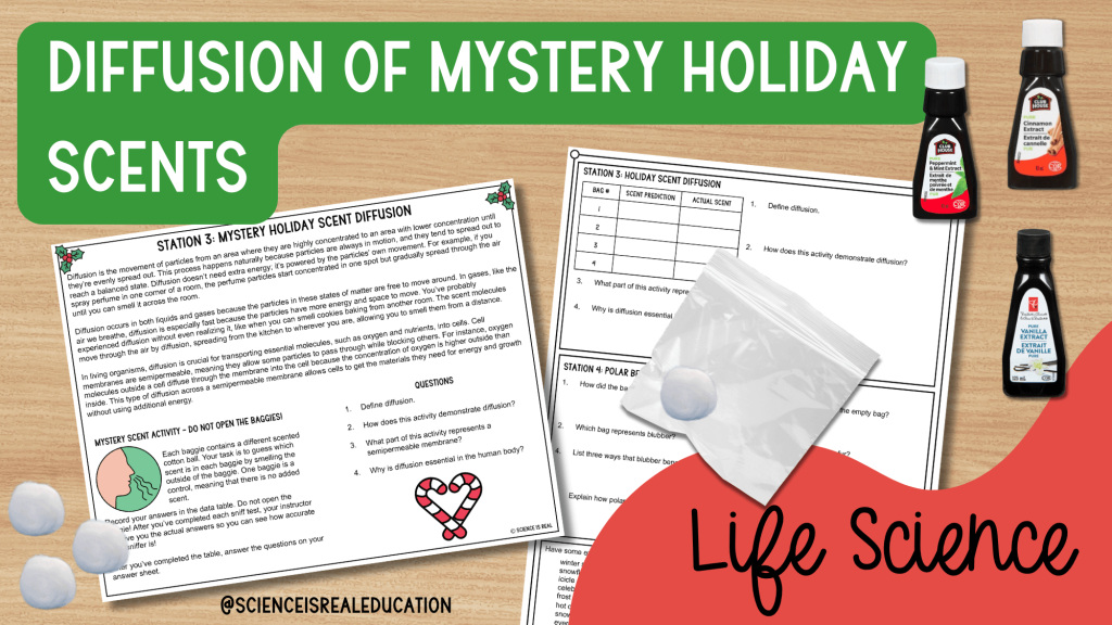 science winter holiday stations