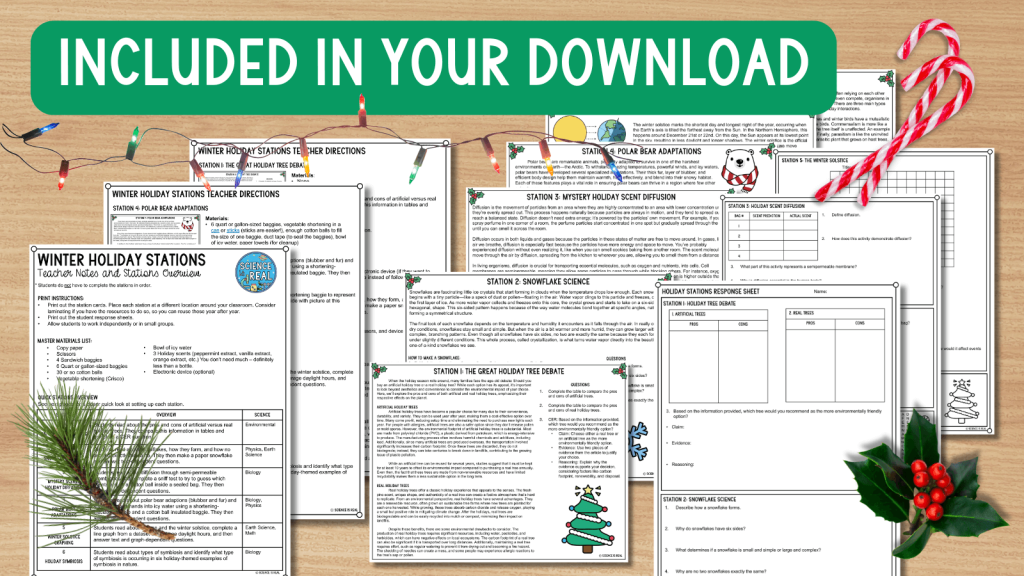 science winter holiday stations