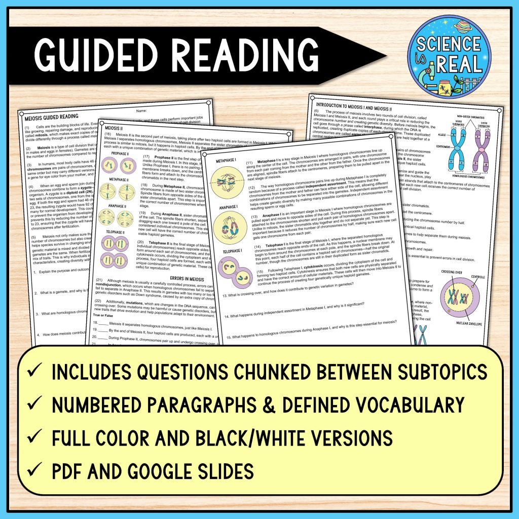 Meiosis Reading Comprehension - Science is Real Education