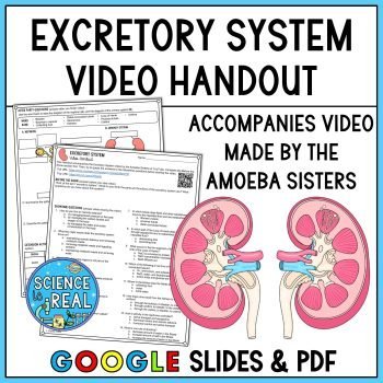 Excretory System Amoeba Sisters Video Handout