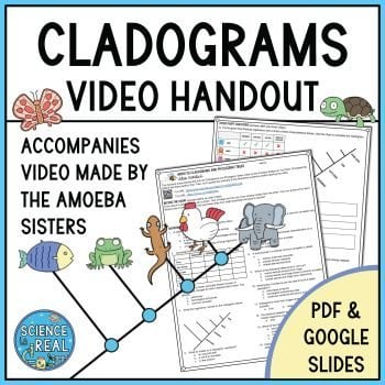 cladograms amoeba sisters video handout