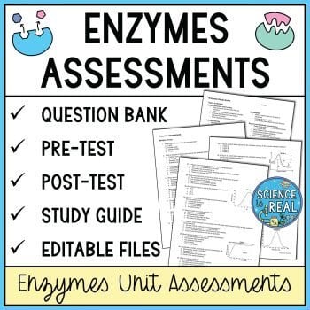 enzymes assessments