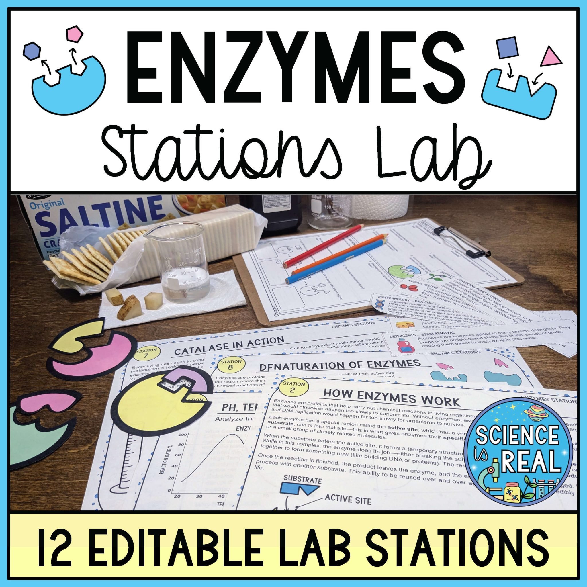 Enzymes Amoeba Sisters Video Handout Science Is Real Education