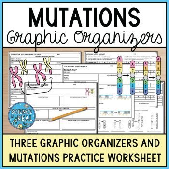 mutations graphic organizer