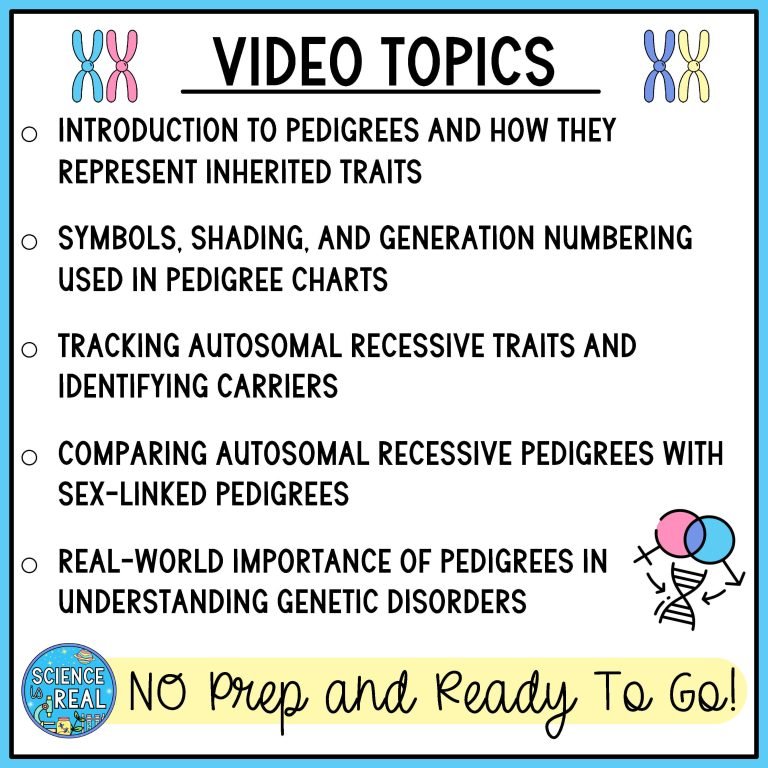 Pedigrees Amoeba Sisters Handout - Science is Real Education