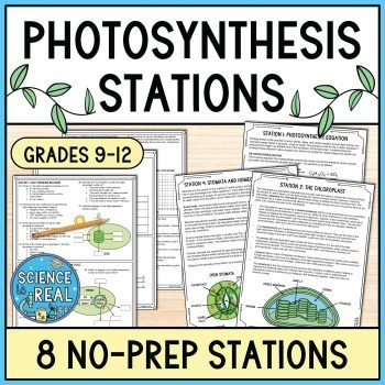 photosynthesis stations