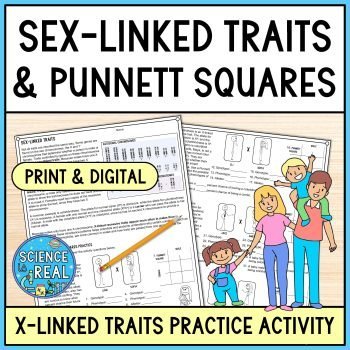 Sex-Linked Traits Punnett Squares Worksheet