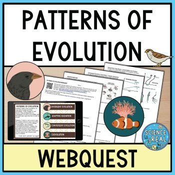 Patterns of Evolution Webquest
