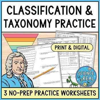 classification worksheets