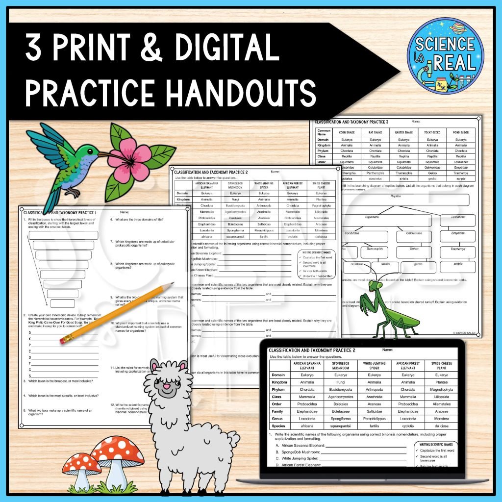 Classification Worksheets - Science is Real Education