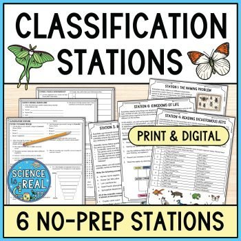 Classification Stations
