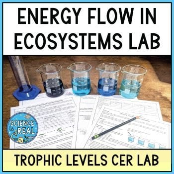 Energy in ecosystems lab