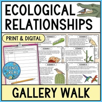 Ecological Relationships Gallery Walk