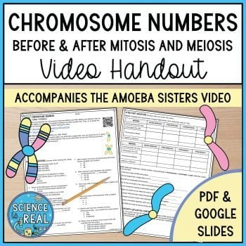 Chromosome Numbers Amoeba Sisters Handout