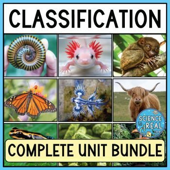 Classification Unit